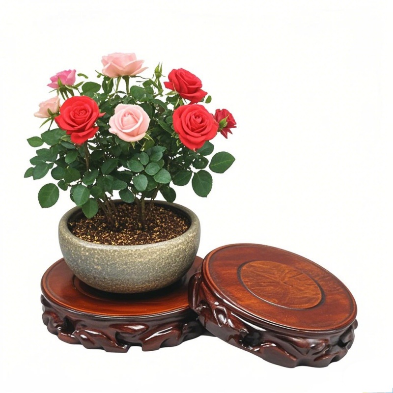 Wooden Plant Saucer & Flower P - Coffee Tea For Garden 评论和价格